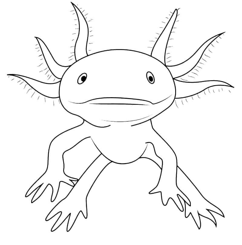 Målarbild Axolotl för Barn