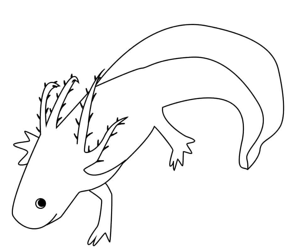 Målarbild En Vanlig Axolotl