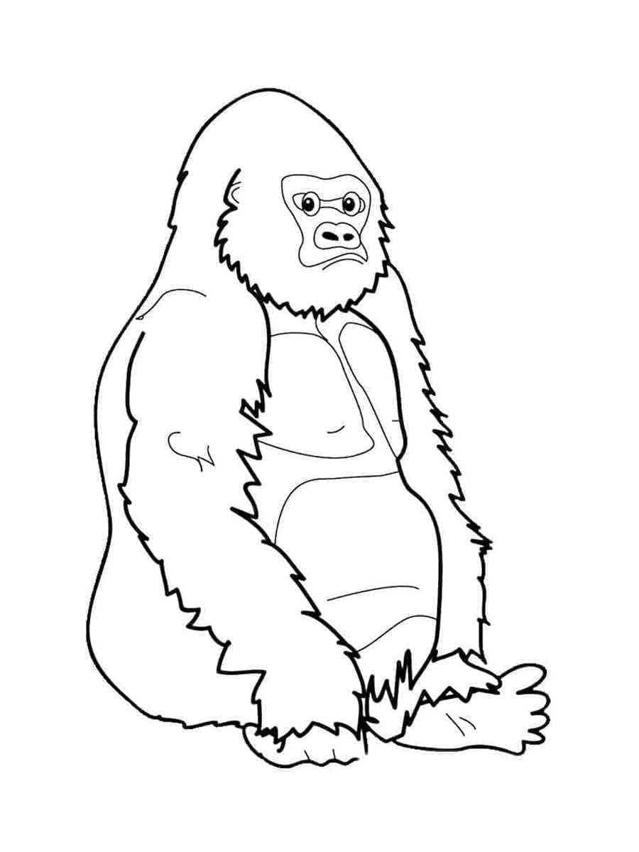 Målarbild Gorilla 10