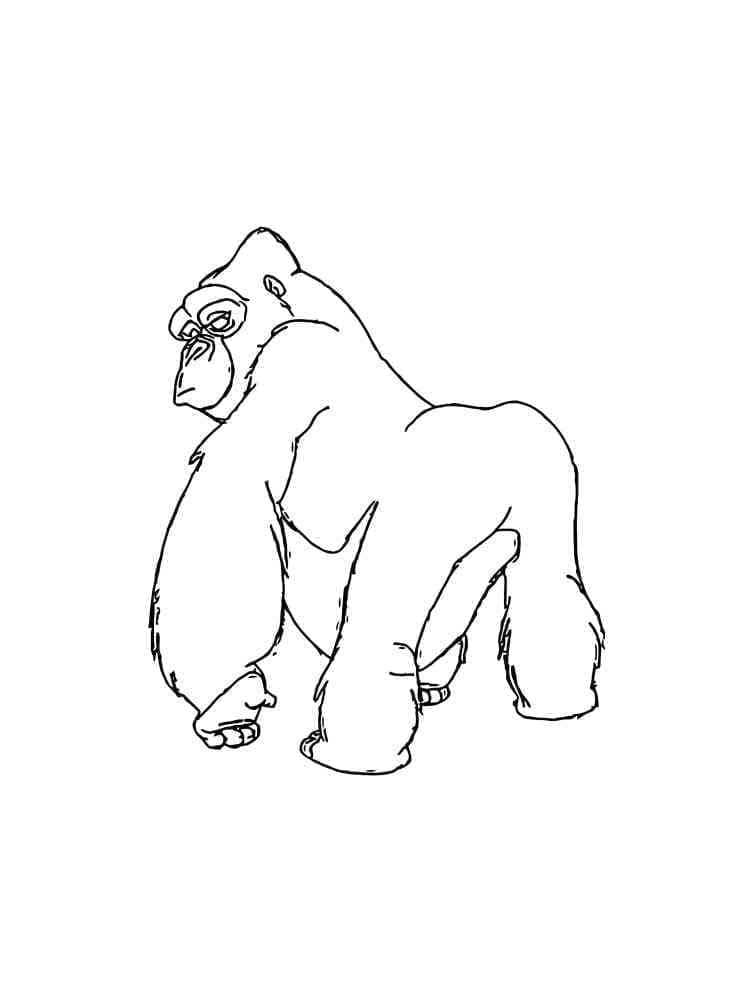 Målarbild Gorilla 2