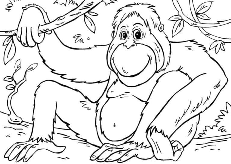 Målarbild Gorilla 3