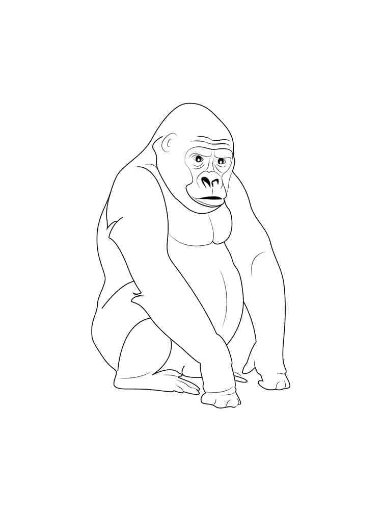 Målarbild Gorilla 5
