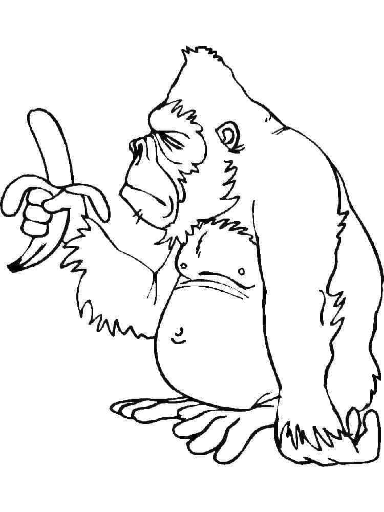 Målarbild Gorilla med Banan