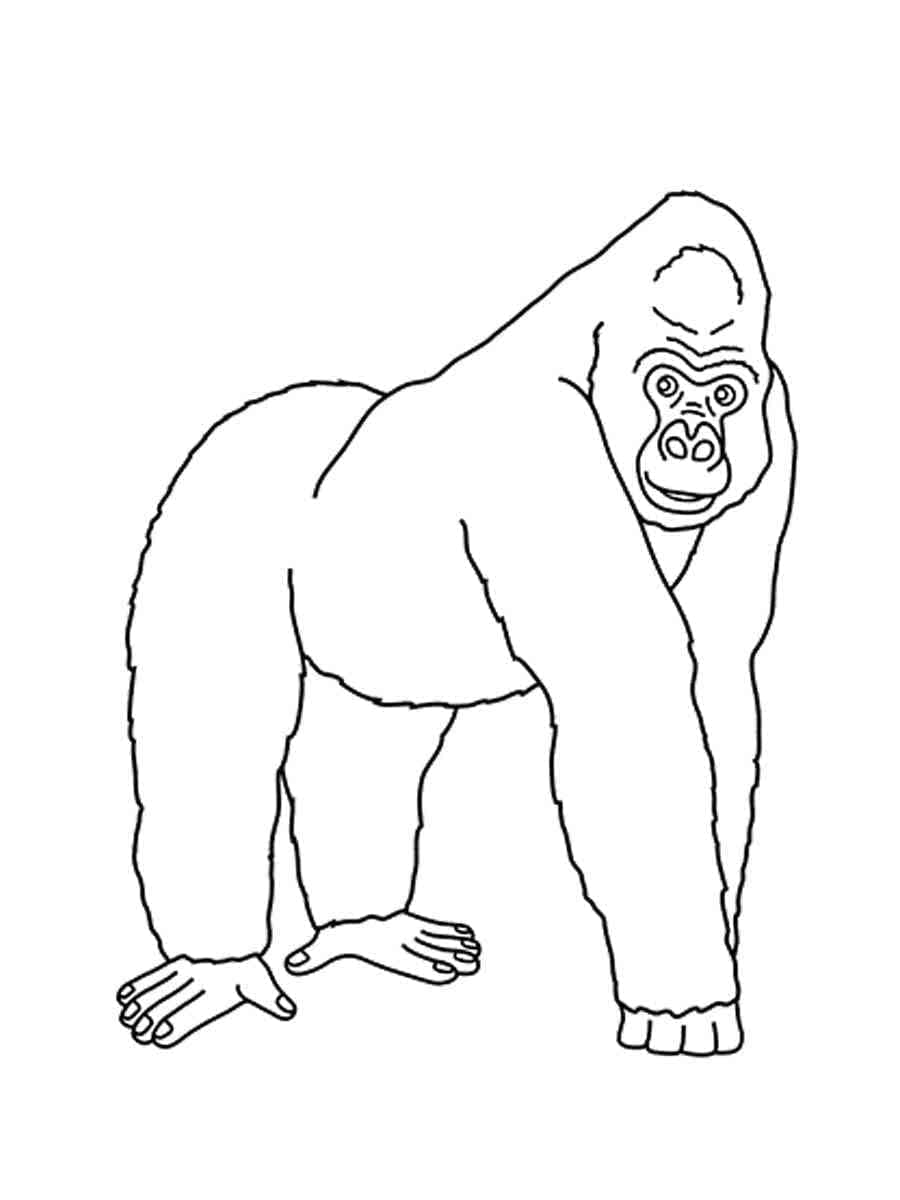 Målarbild Gorilla Utskrivbar för Barn