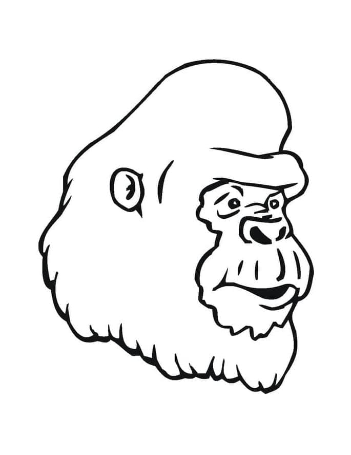 Målarbild Gorillahuvud