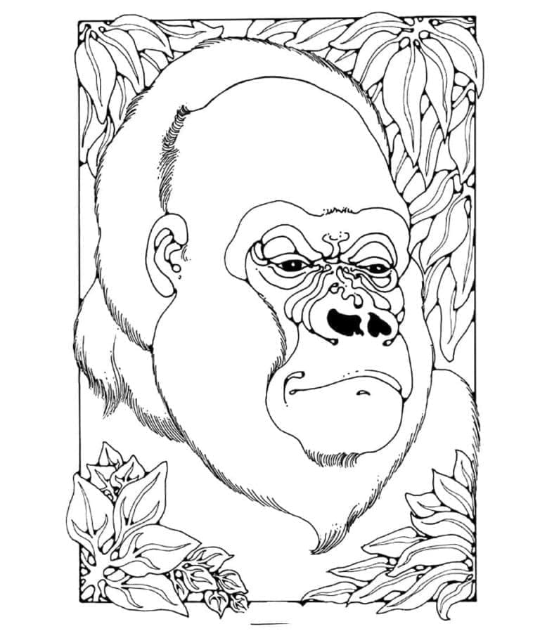 Målarbild Gorillans Ansikte