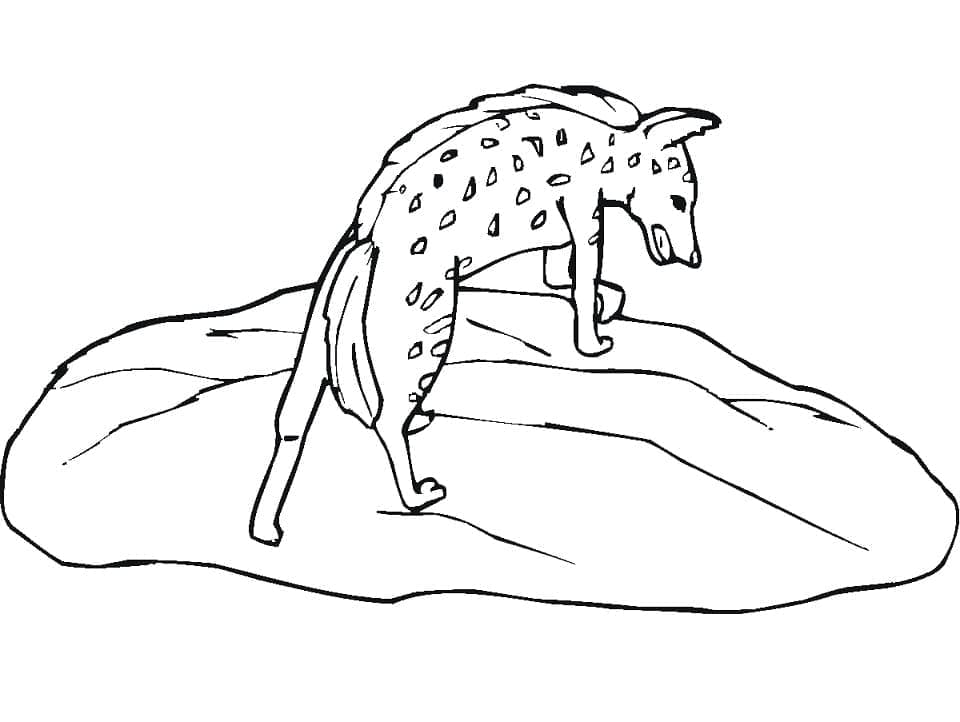 Målarbild Hyena 1