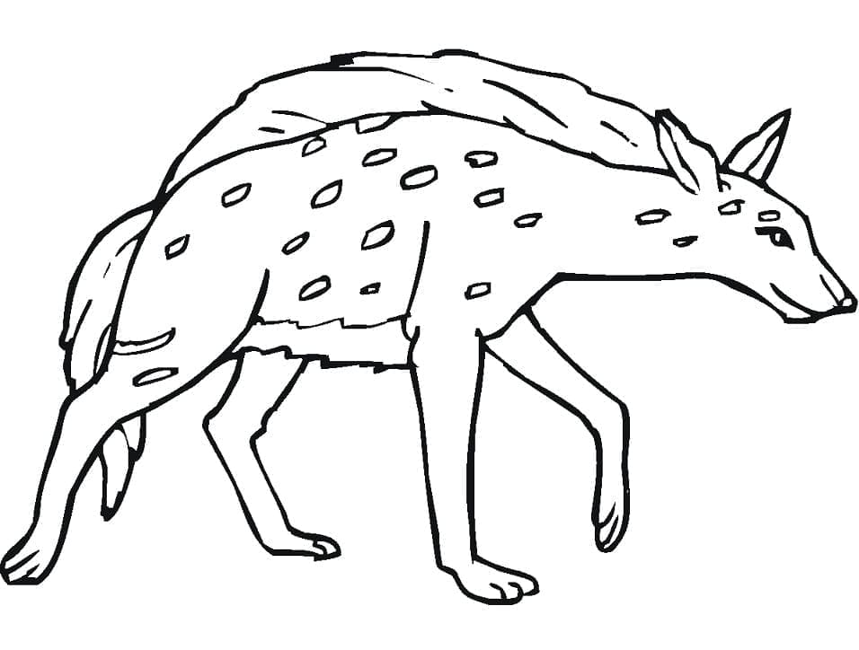 Målarbild Hyena Gratis