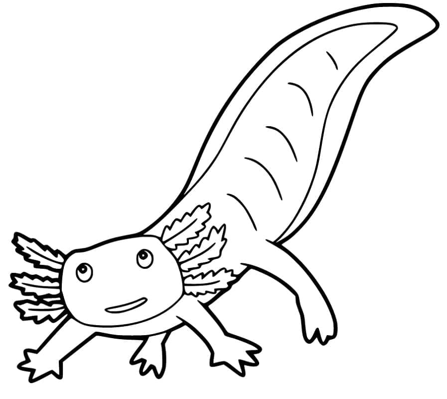 Målarbild Tecknad Axolotl