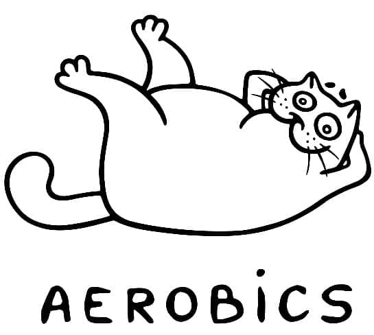 Målarbild Aerobics Katt