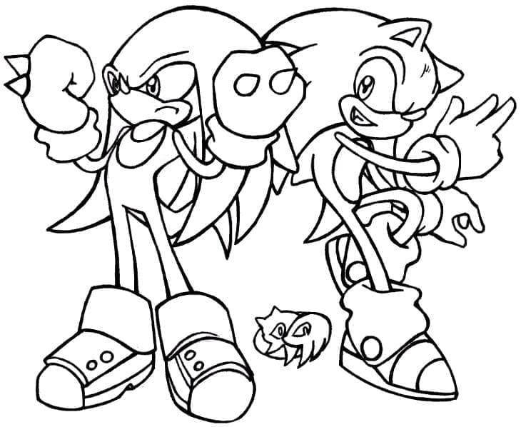 Målarbild Knuckles The Echidna och Sonic