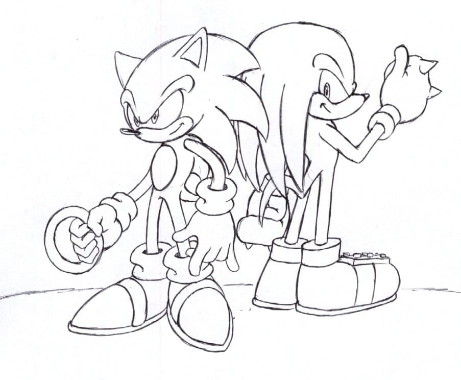 Målarbild Sonic och Knuckles The Echidna