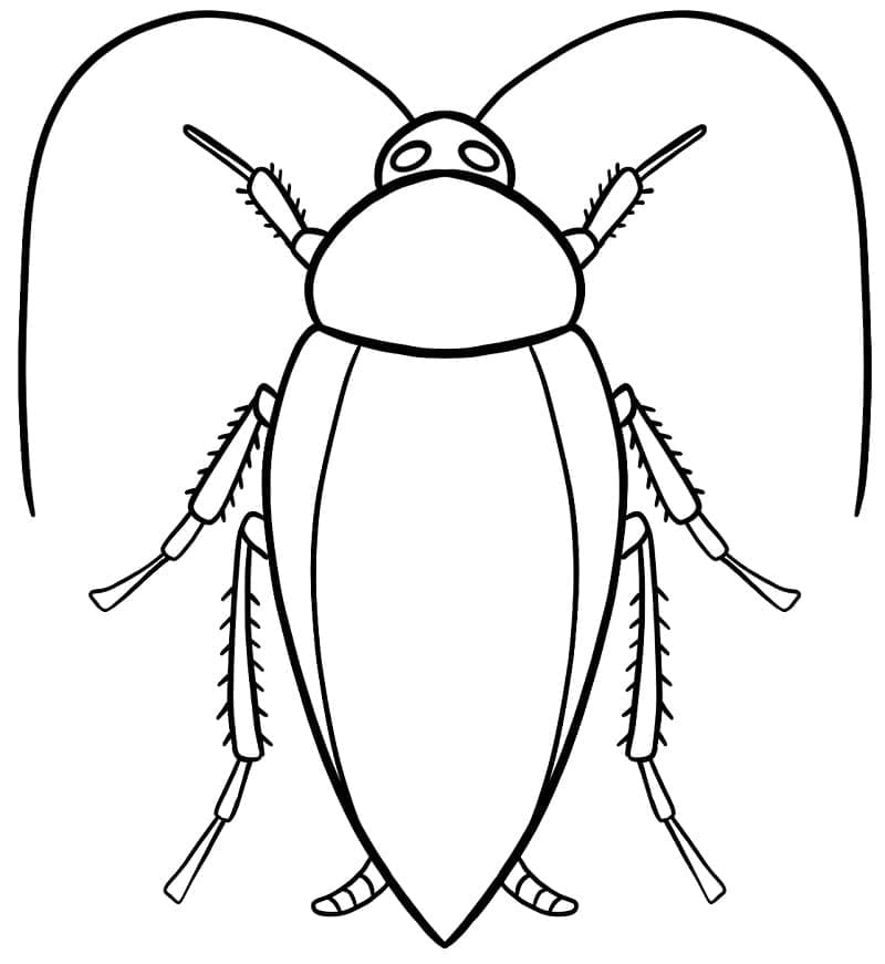 Målarbild Kackerlacka utskrivbar för barn