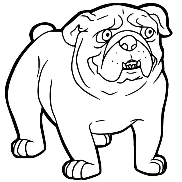 Målarbild Bulldog Gratis för Barn