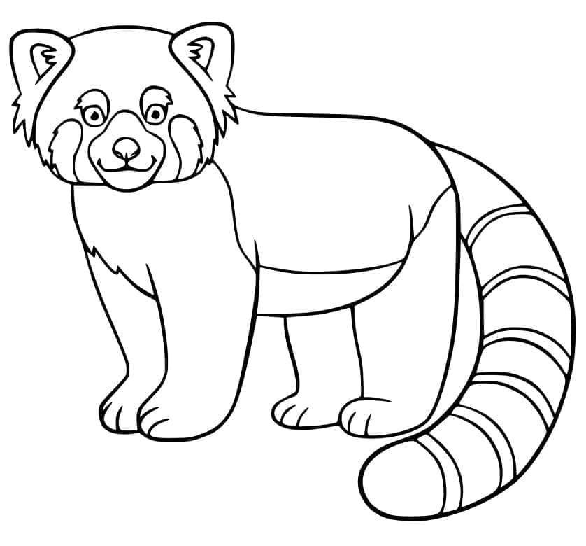 Målarbild Normal röd panda