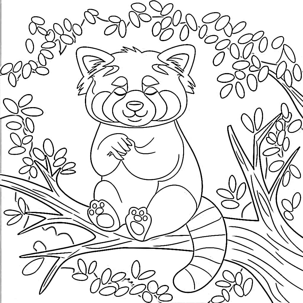 Målarbild Röd panda 1
