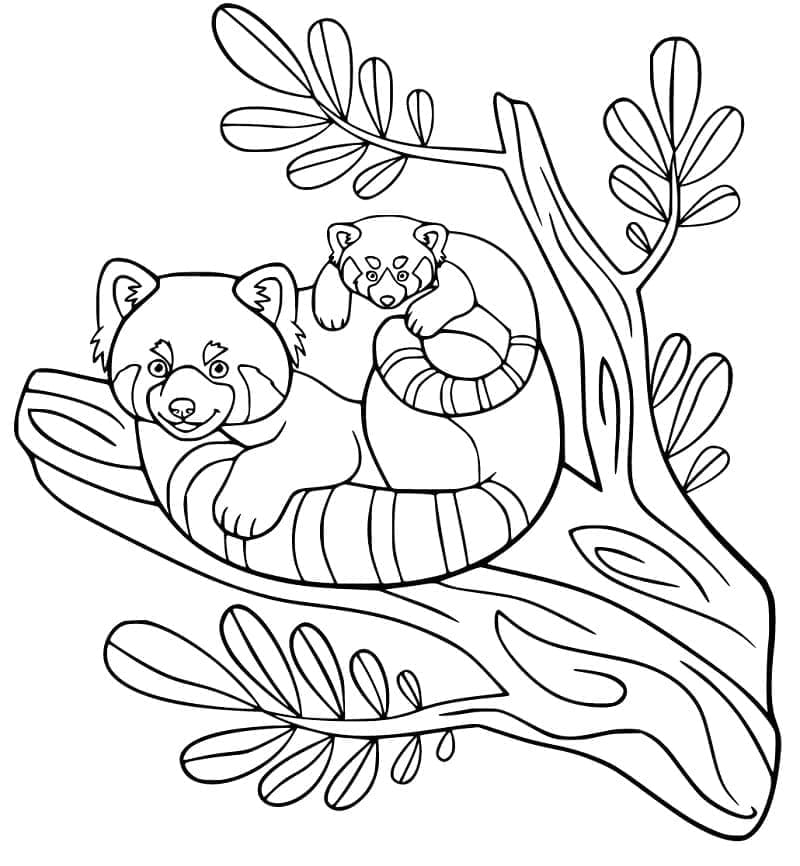 Målarbild Röd panda för 1-åriga barn