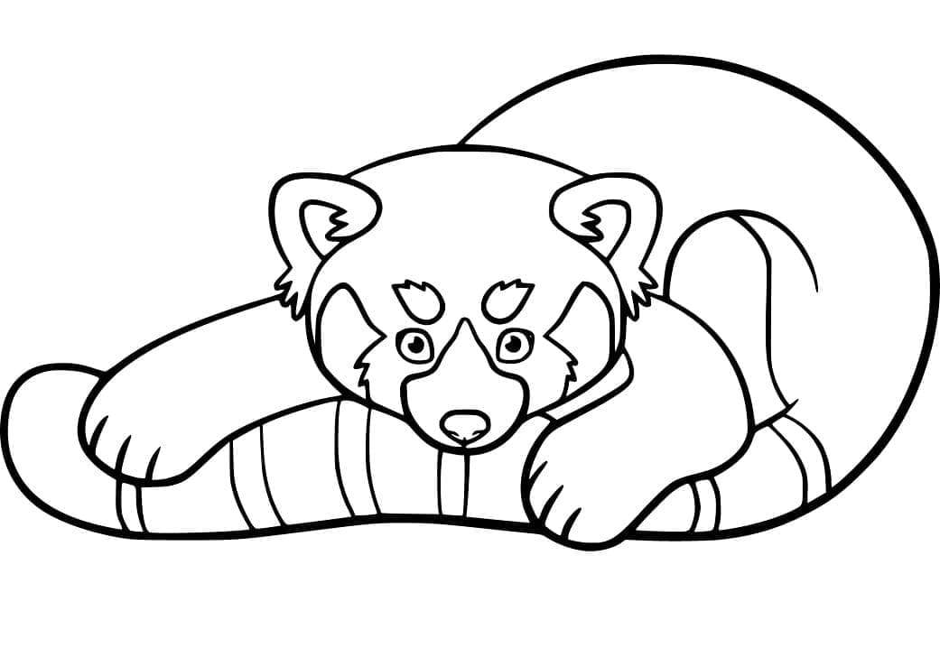 Målarbild Röd panda för 2-åriga barn