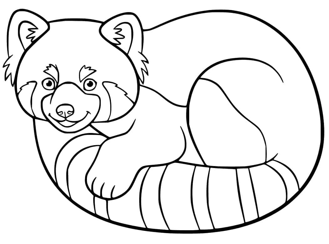 Målarbild Röd panda gratis utskrivbar för barn