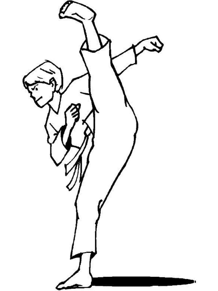 Målarbild Gratis Karate