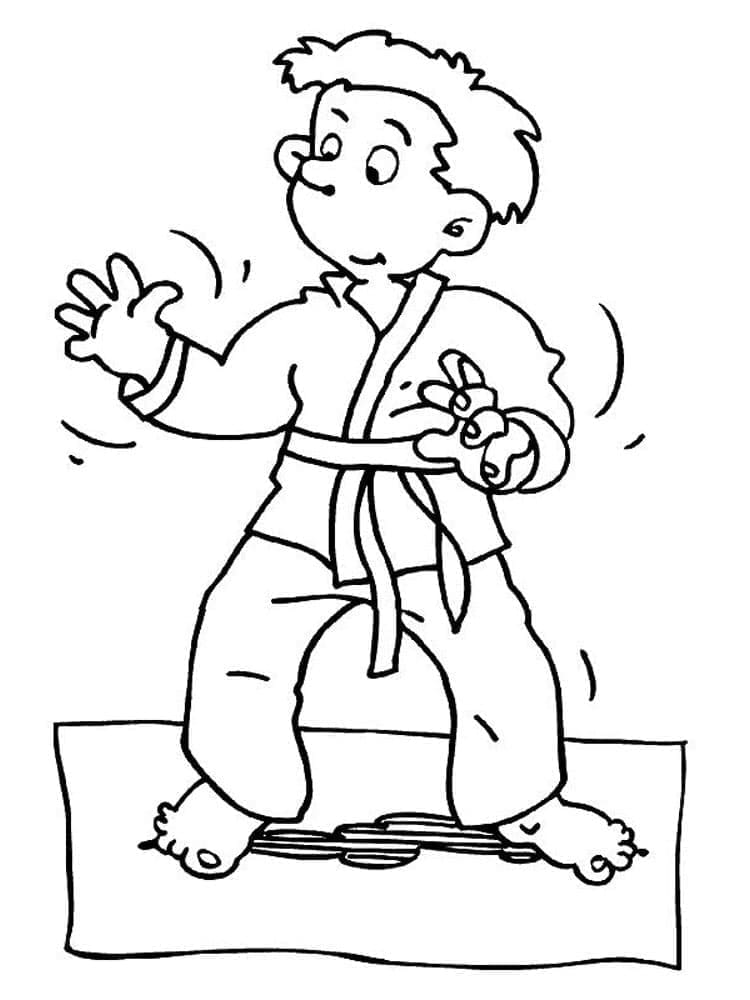 Målarbild Karate 2