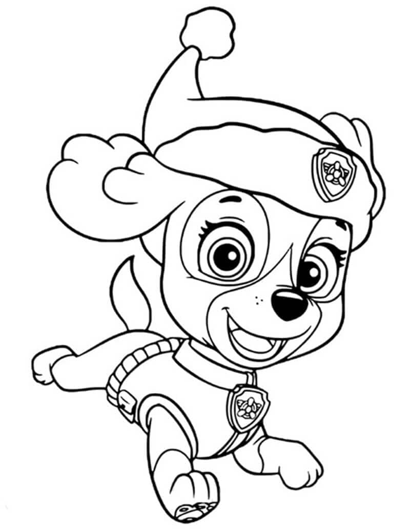 Målarbild Härlig Skye Paw Patrol