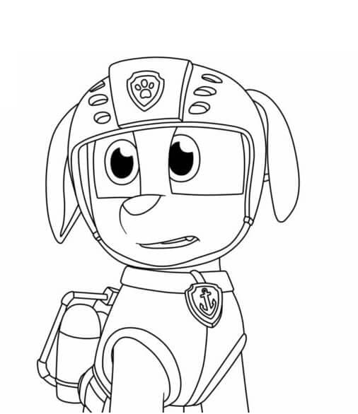 Målarbild Zuma Paw Patrol För 5-åriga Barn