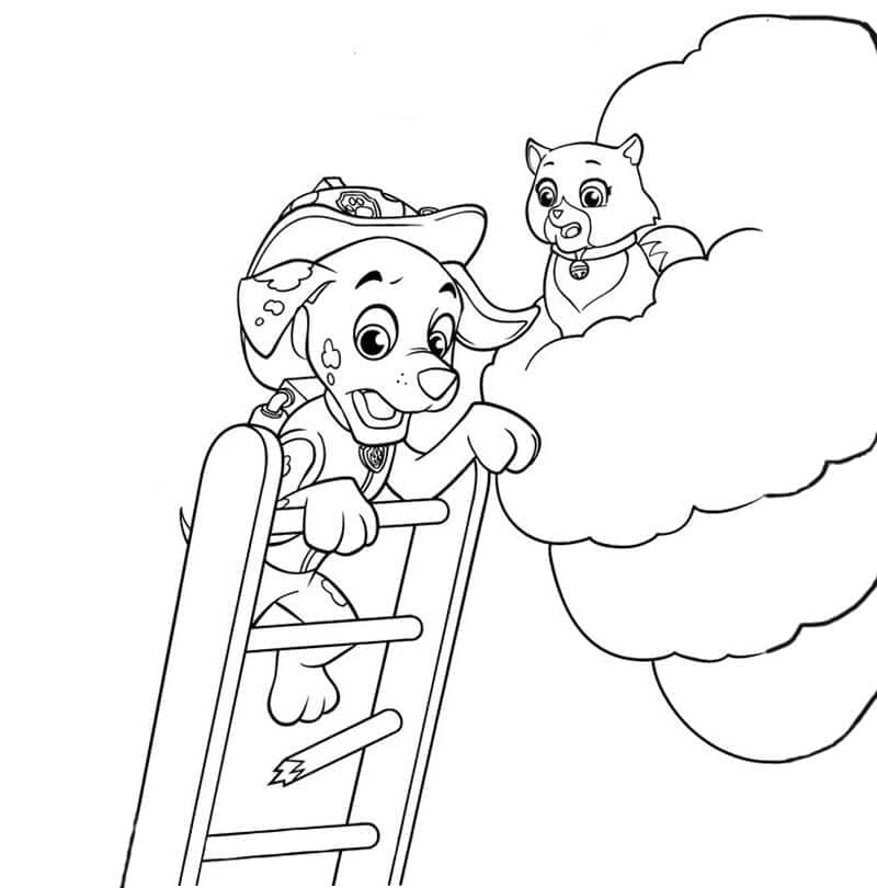 Målarbild Marshall Paw Patrol Utskrivbar