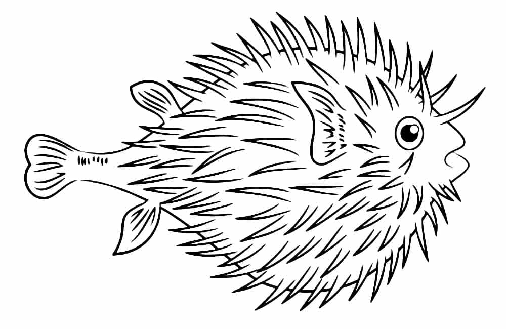 Målarbild Blåsfisk för 2-åriga barn