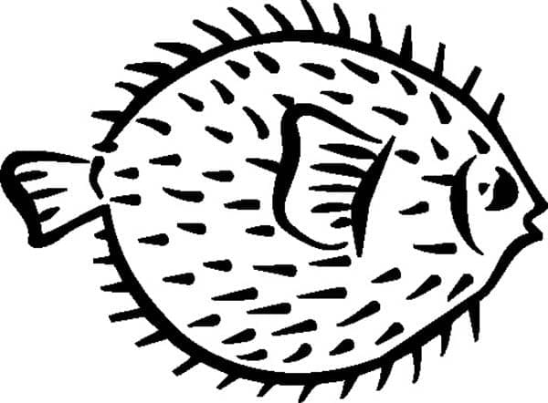 Målarbild Blåsfisk för Barn