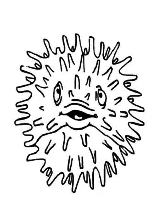 Målarbild Gratis Blåsfisk för Barn