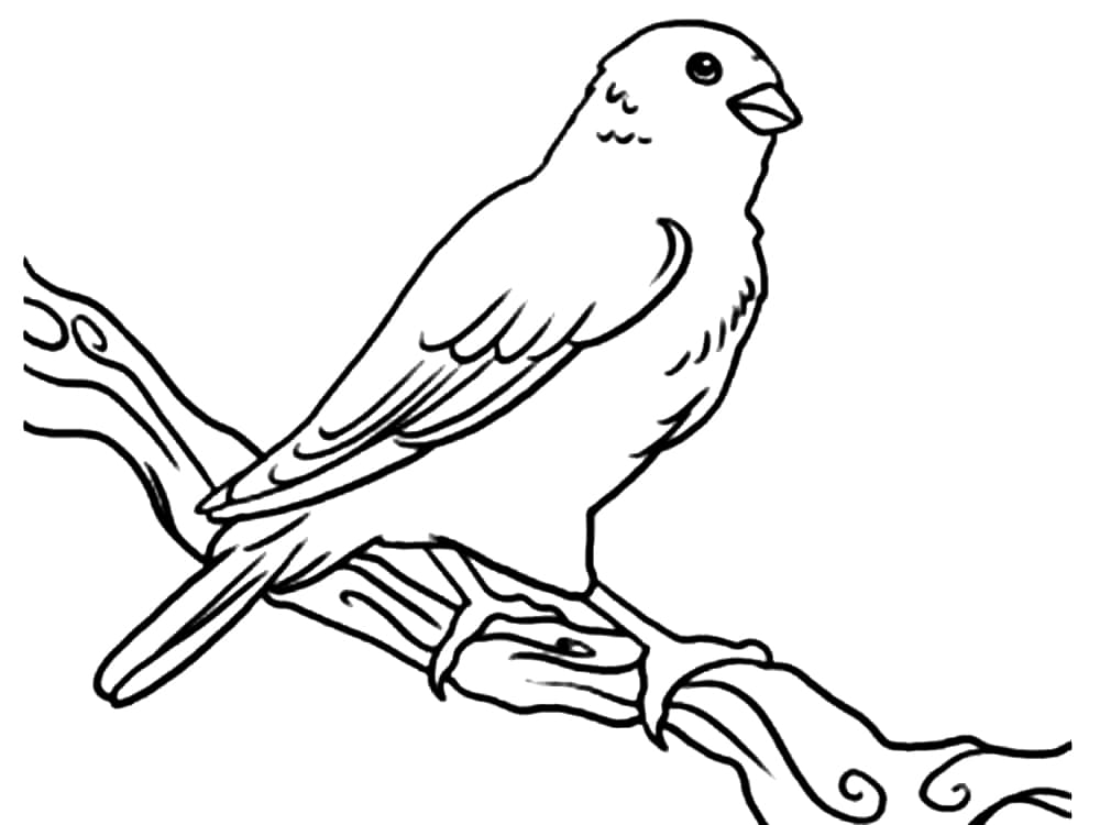 Målarbild Kanariefågel För 2-åriga Barn