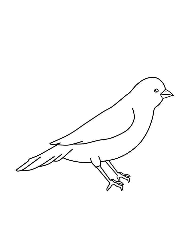 Målarbild Kanariefågel För 3-åriga Barn