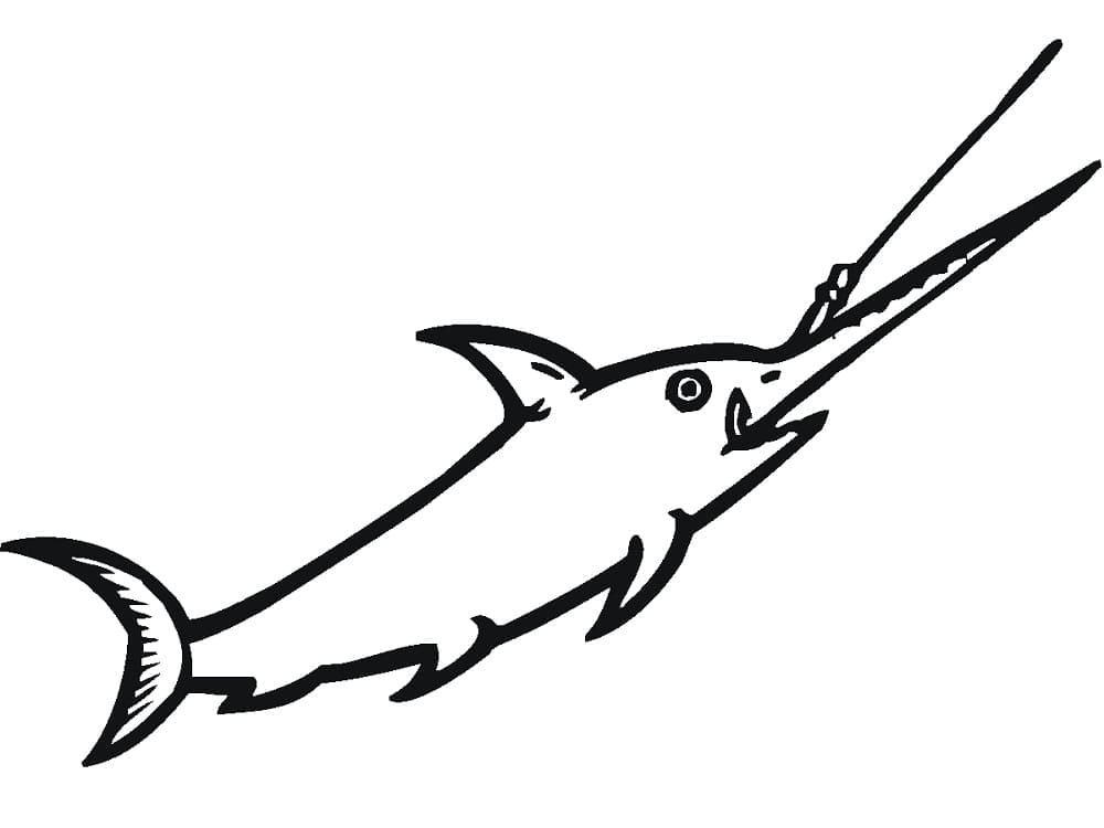 Målarbild Liten Svärdfisk