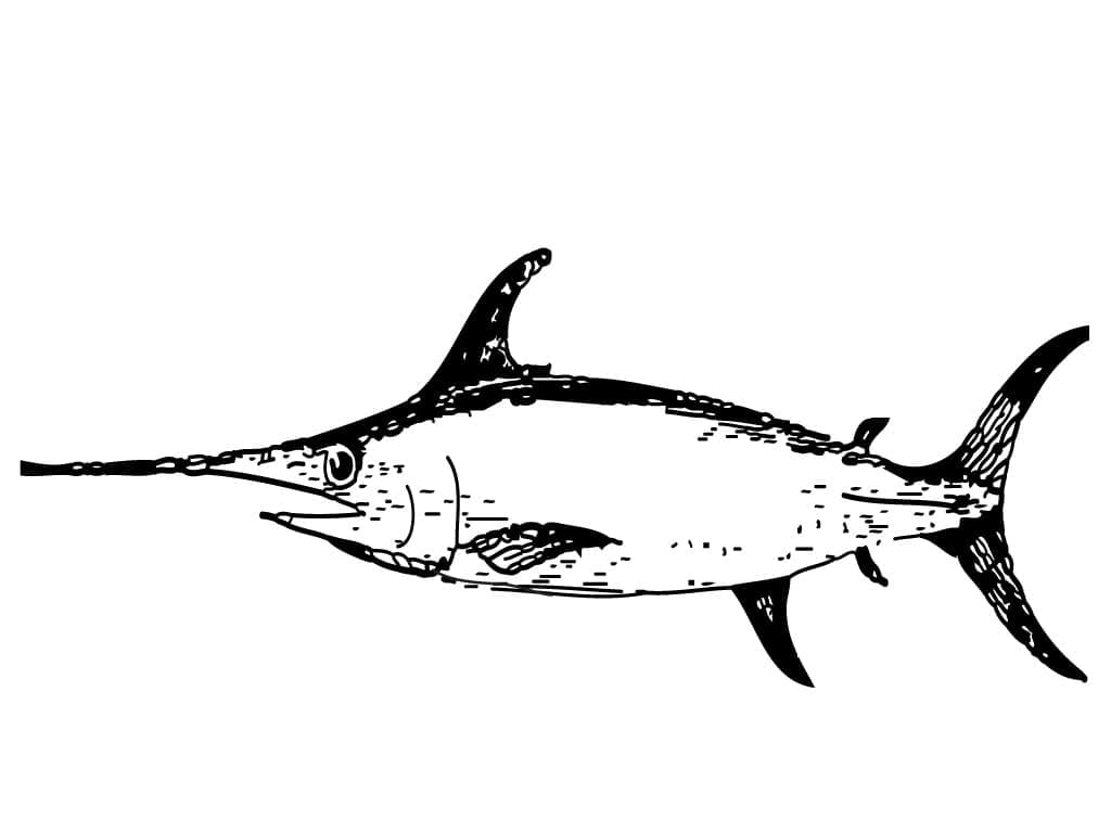 Målarbild Realistisk Svärdfisk