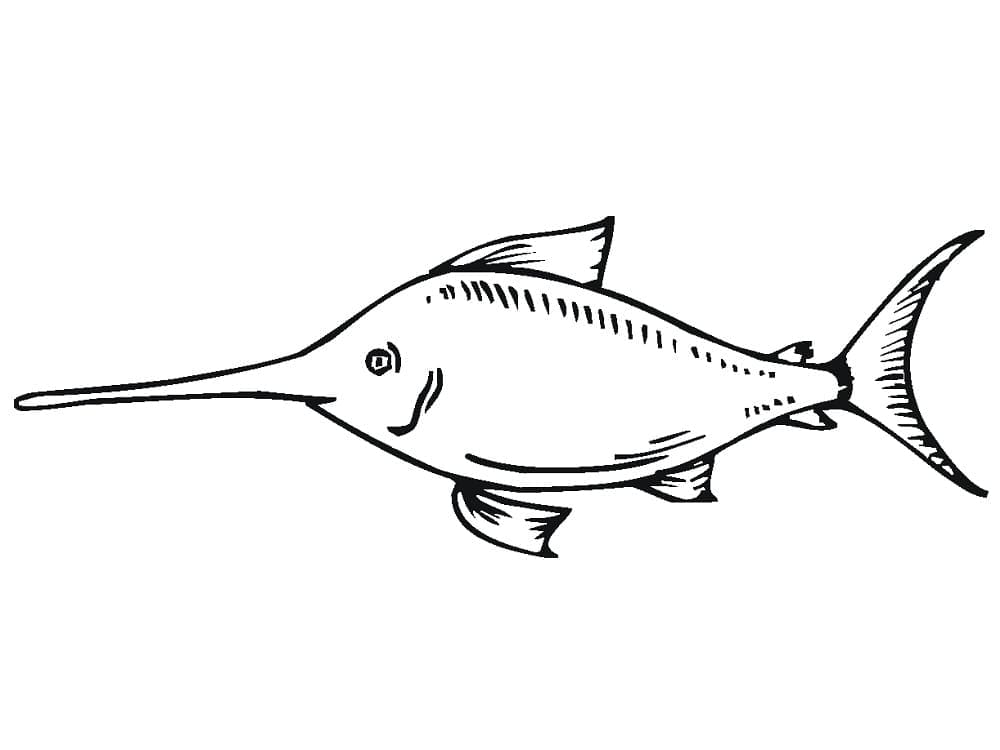 Målarbild Tecknad Svärdfisk