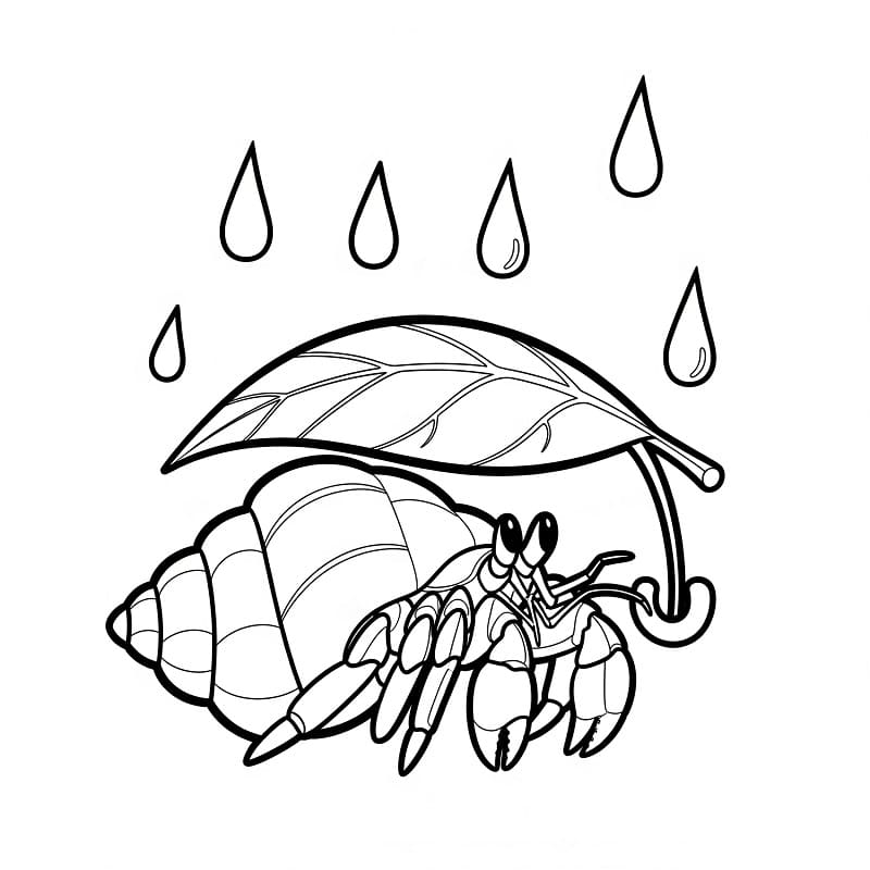 Målarbild Eremitkräfta och regn