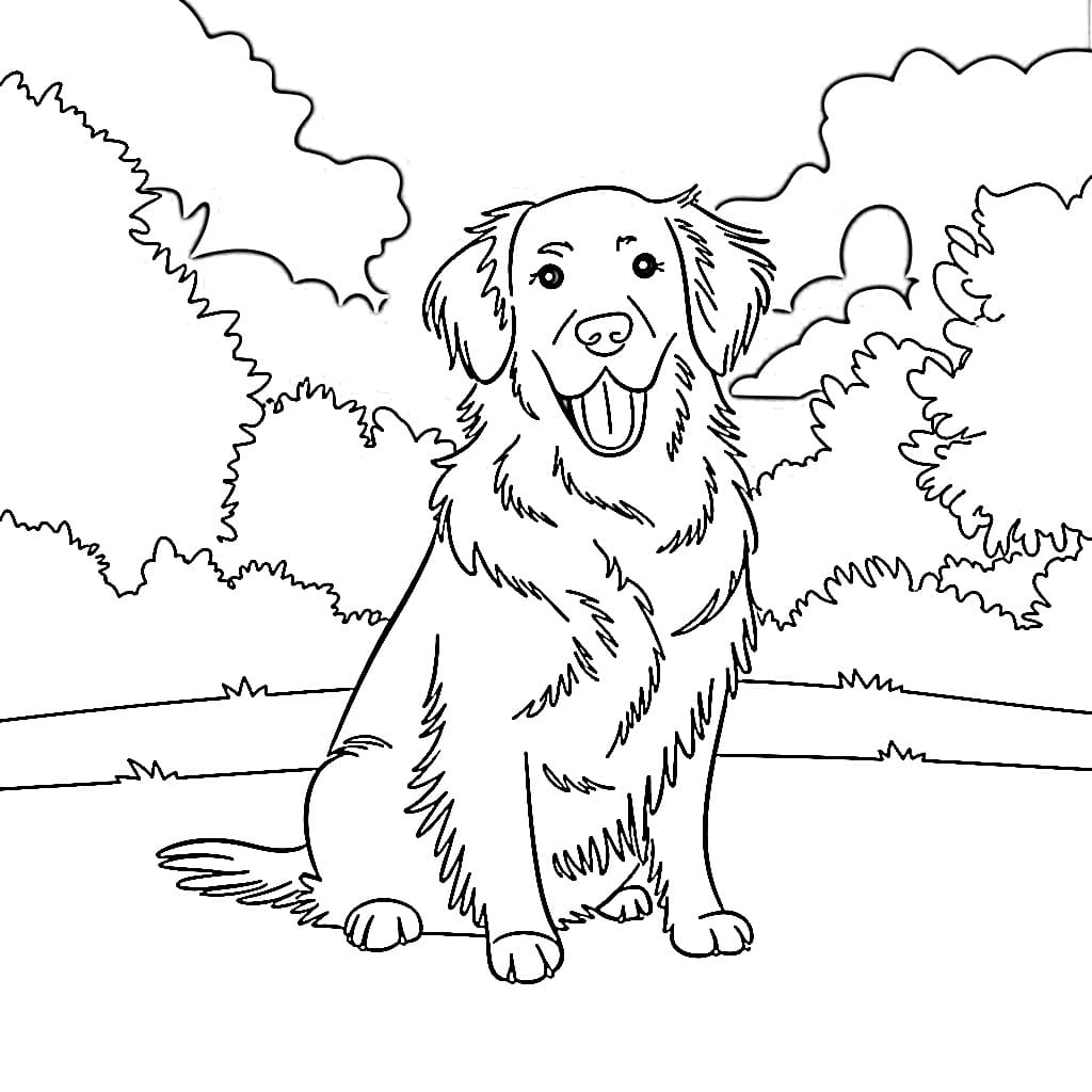 Målarbild Golden Retriever Gratis Utskrivbar för Barn