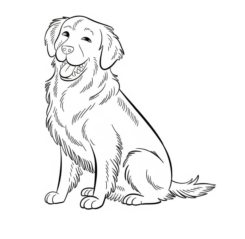 Målarbild Golden Retriever Gratis