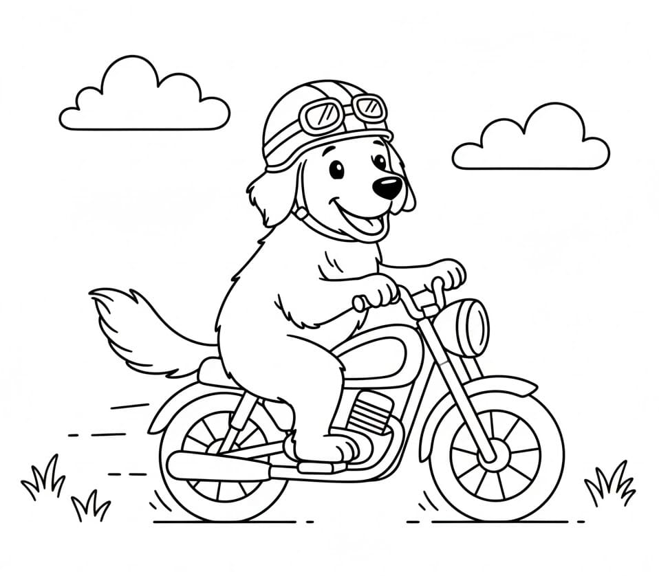 Målarbild Golden Retriever rider motorcykel