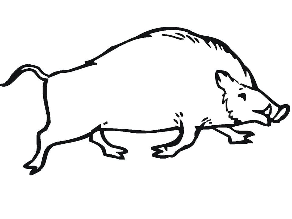 Målarbild Vildsvin för 3-åriga barn
