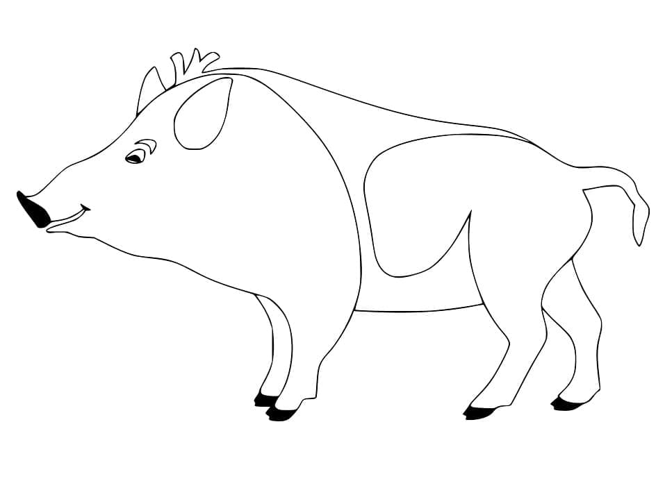 Målarbild Vildsvin för Barn