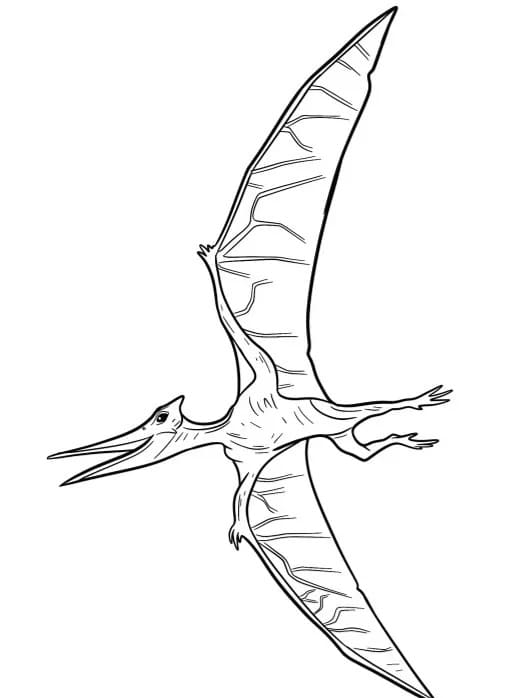 Målarbild Fantastisk pterodactyl