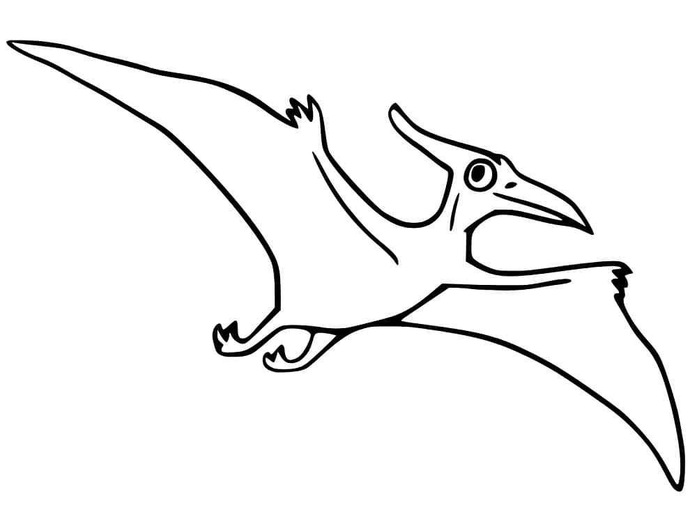 Målarbild Glad pterodactyl