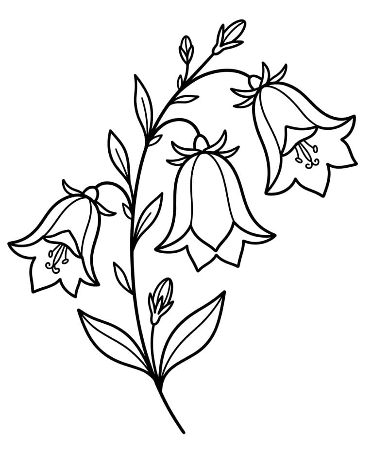 Målarbild Blåklocka Gratis Utskrivbar