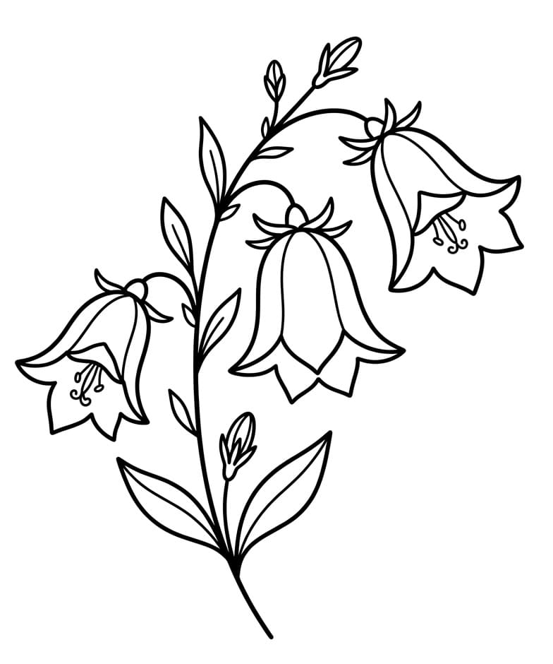 Målarbild Blåklocka Utskrivbar