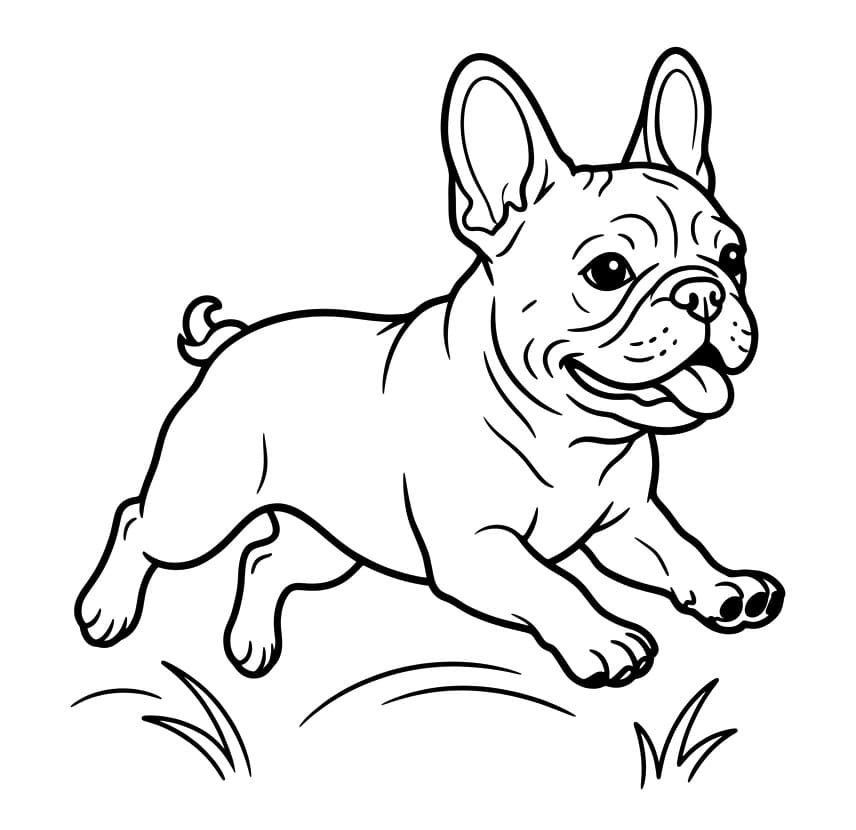 Målarbild En Springande Fransk Bulldogg