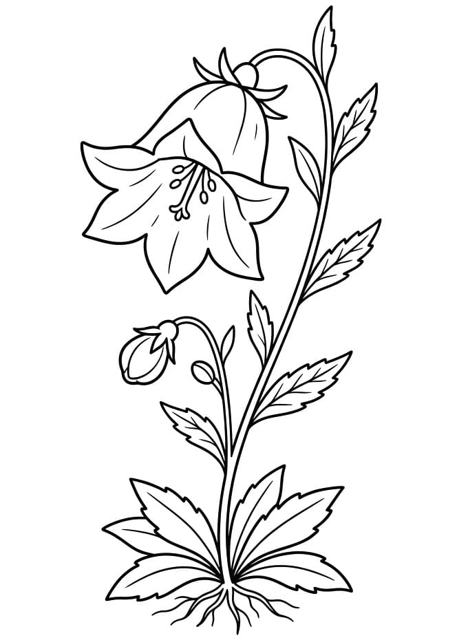 Målarbild En blåklocka