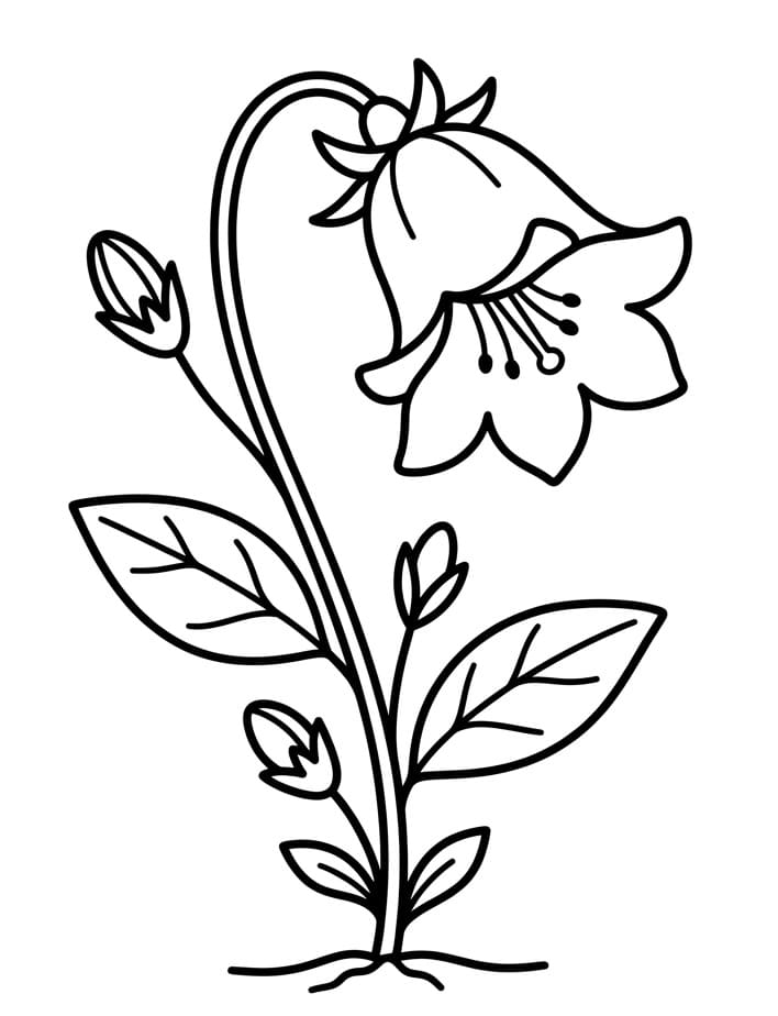 Målarbilder Blåklocka