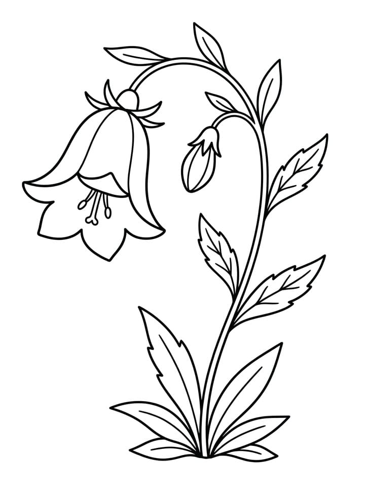 Målarbild Enkel blåklocka